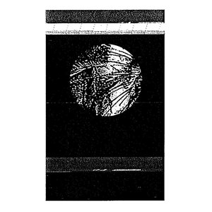Heart of Palm 的头像