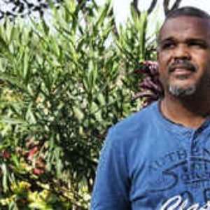 Constantino Cardoso 的头像