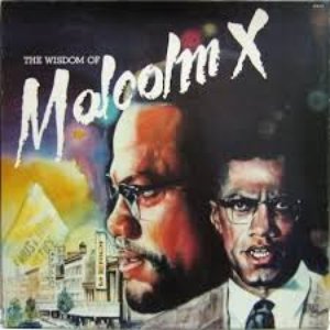 The Wisdom of Malcolm X Vol. 1