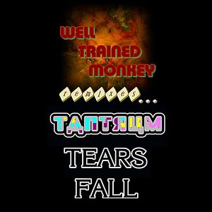 Tears Fall: Well Trained Monkey Remixes Tantrum