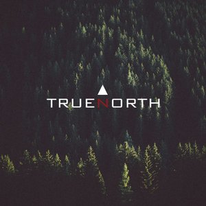 Truenorth 的头像
