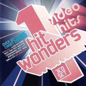 Video Hits - One Hit Wonders