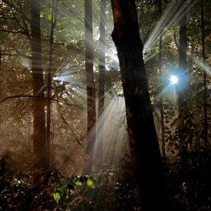 Nature Sounds.ca için avatar
