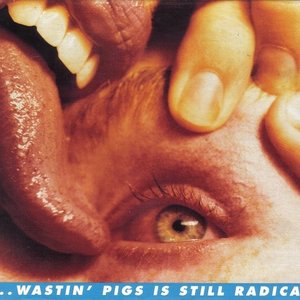 Yeah, I Know it's a Drag...Wastin' Pigs is Still Radical