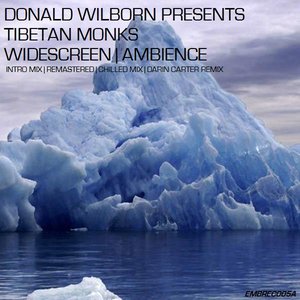 Widescreen (Remixes)