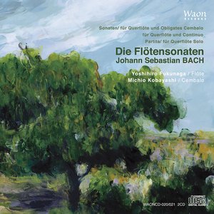 Bach: Die Flötensonaten