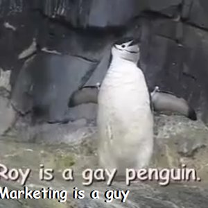 Marketing 的头像