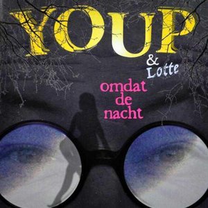 Omdat de nacht