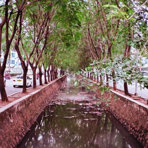 Image for 'MENGGAYAKAN'