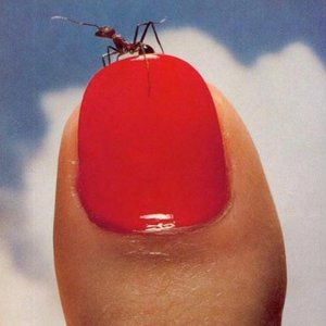 Moderation Is Better For Us - Single