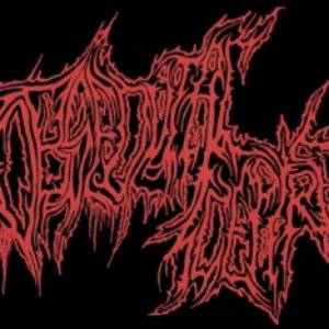 Obsequial Sceptre 的头像