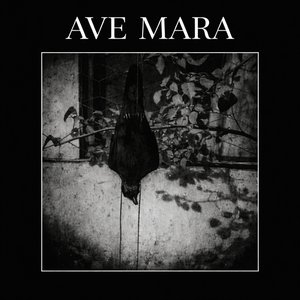 AVE MARA 的头像