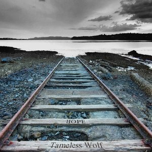 Tameless Wolf 的头像