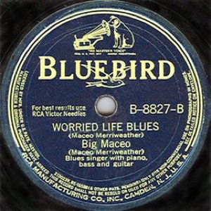 Worried Life Blues / Texas Blues