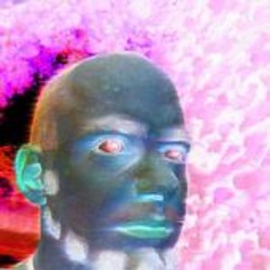 noiseFLOWer 的头像