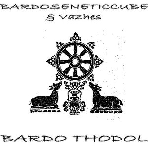 BARDOSENETICCUBE & VAZHES 的头像