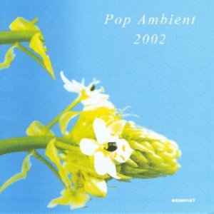 Image for 'Pop Ambient 2002'