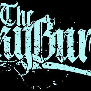 The Sky Burial 的头像