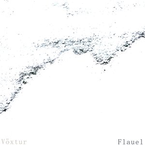 Vöxtur 的头像