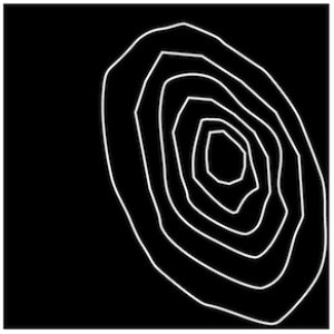 Parquet Recordings 的头像