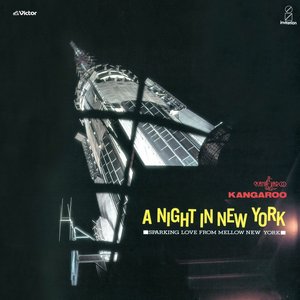 A NIGHT IN NEW YORK+1