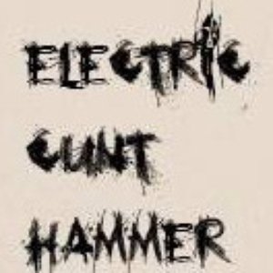 Electric Cunt Hammer 的头像