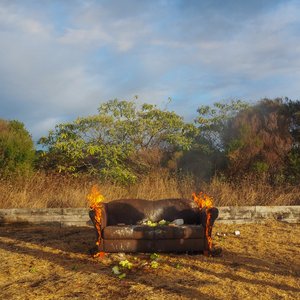 Burn