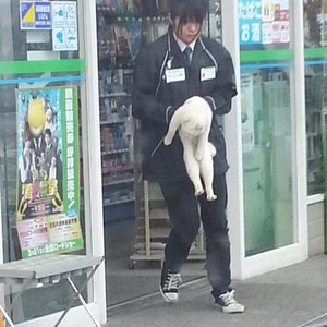 私を殺して!! 的头像