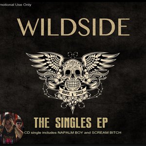 Bild för 'The Singles EP'