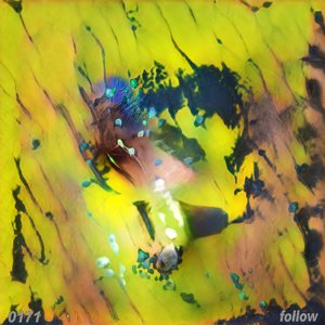 Follow - Single