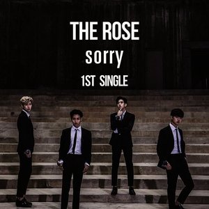 Sorry