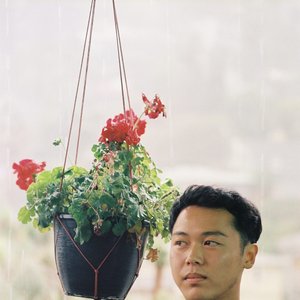 Aguava 的头像