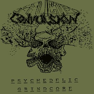 Psychedelic Grindcore