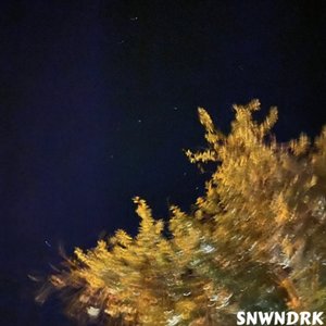 The Sun Among The Stars