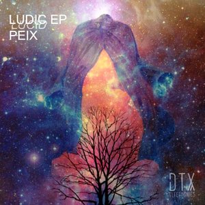 Ludic - Single