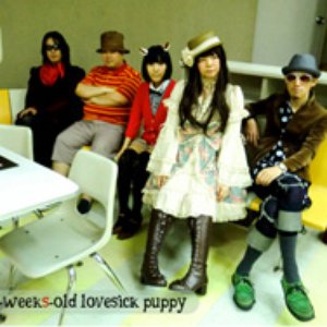 Three-weeks-old lovesick puppy 的头像