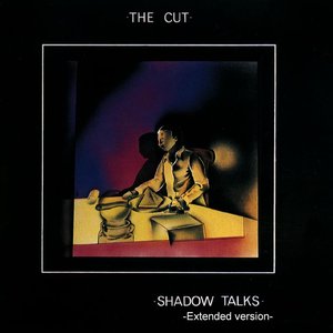 Shadow Talks (Extended PP-version)