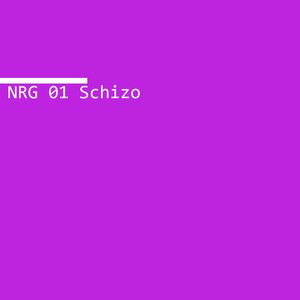 'NRG 01 Schizo'の画像