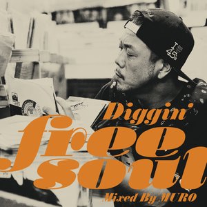 Diggin' Free Soul