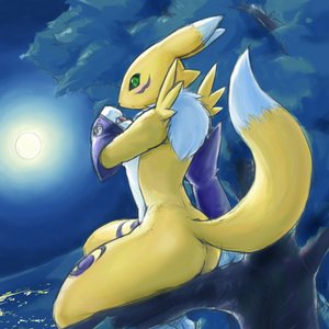 Avatar for Renamon
