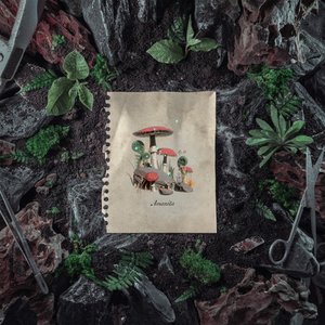 Amanita