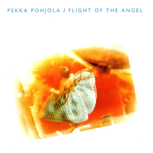 Flight of the Angel cover