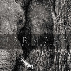 Harmony for Elephants