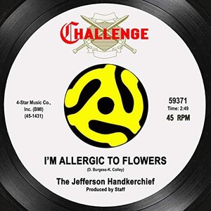 I'm Allergic To Flowers