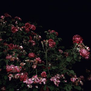 you've never been to heaven (sped up) / sweetest pie