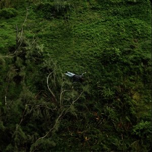 SELDOM [Explicit]