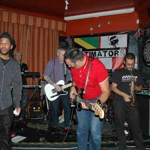 The Estimators 的头像