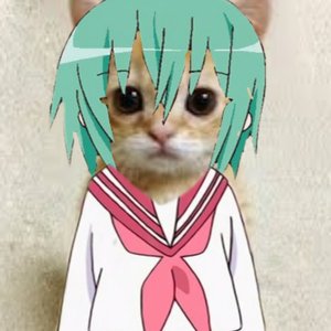Avatar for The Kasaneru