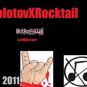 Molotovxrocktail 的头像