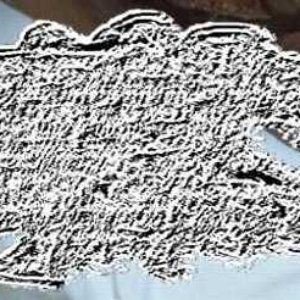 Ovoviviparitic Leucorrhoea のアバター